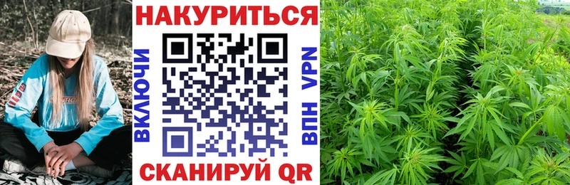 Где продают наркотики Верещагино Марихуана  МЕФ  OMG вход  ГАШИШ  Alpha-PVP 