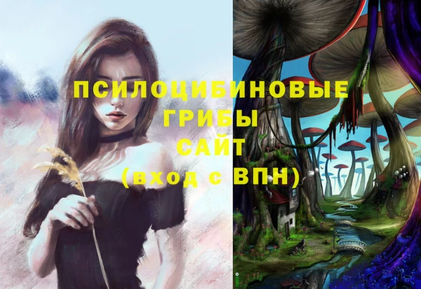 соль ск Богородицк