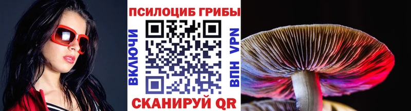 Псилоцибиновые грибы Psilocybine cubensis  Верещагино 